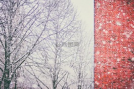 雪,暴雪,冷