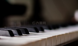 鋼琴,模糊,音樂(lè)