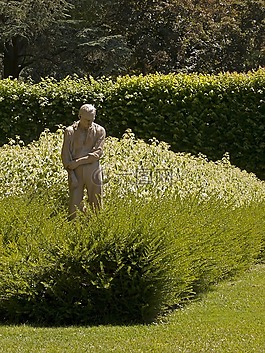 雕像,男子,花園
