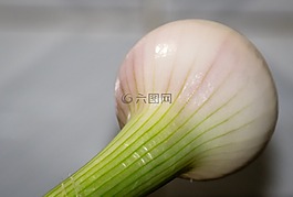 洋蔥,水果,素