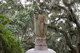 樹(shù),旅行,性質(zhì)