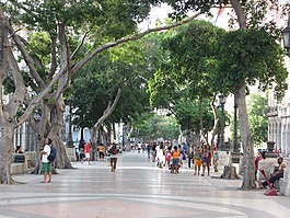 公園,走,自然