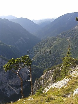山,谷,木材