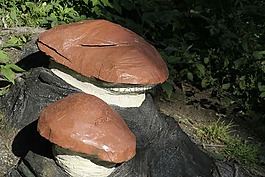 蘑菇,藝術(shù),假人