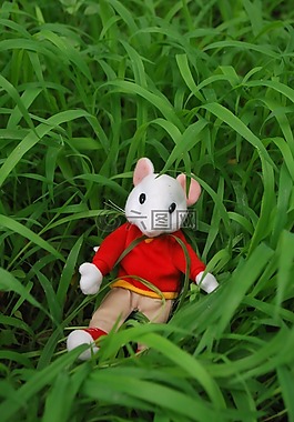 鼠標(biāo),玩具,草