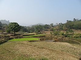 农村,小农场,小陆控股