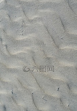 沙,海灘,紋理