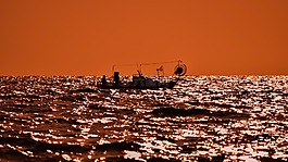 日落,自然,海