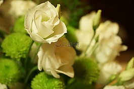 鮮花,花束,組成