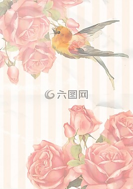 釀酒,玫瑰,鳥(niǎo)