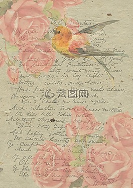 釀酒,玫瑰,信