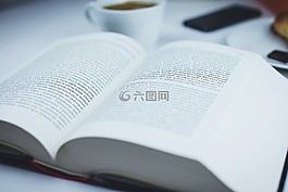 書,閱讀,研究
