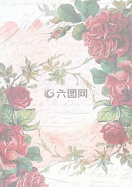 釀酒,玫瑰,粉紅色