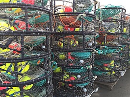 蟹鍋,釣魚,端口