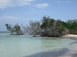 海灘,水,夏天