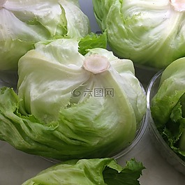 萵,新鮮,綠色