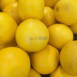 葡萄柚,導入,加利福尼亞州