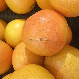 葡萄柚,導入,加利福尼亞州