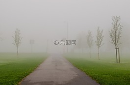 霧,公園,天氣