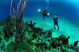 海,海洋,水
