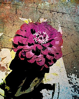 花,戶外,自然