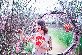 花,自然,樹(shù)
