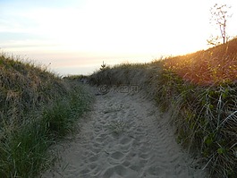 沙,海灘,日落
