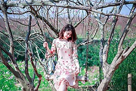自然,樹(shù),戶外