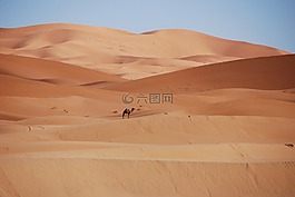 沙漠,砂,沙丘