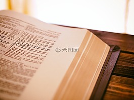書,閱讀,研究