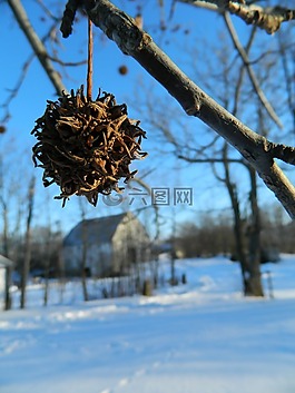 谷倉(cāng),冬天,樹(shù)