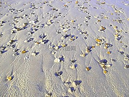 海灘,石頭,沙