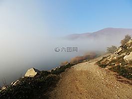 路,霧,上午
