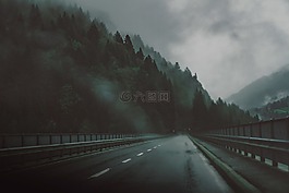 路,公路,橋