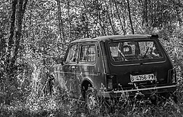 汽車,被遺棄,雜草