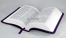 圣經(jīng),書,中心