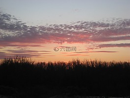海灘,日落,天空