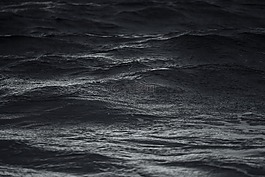 海洋,海,水