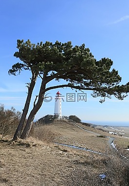 燈塔,hiddensee,荊棘