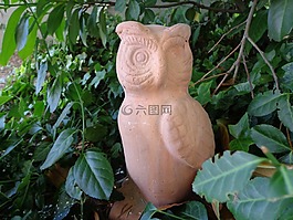 貓頭鷹,知道,智慧