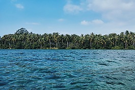 海洋,海,水