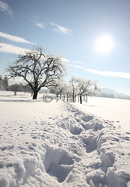雪,痕跡,冬天
