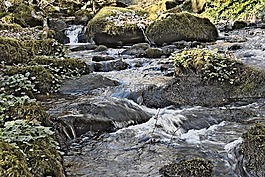 水課程,河,洪流