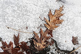 冰,雪,地面