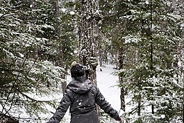 雪,雪下,冷