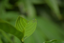 春天,秋天,室外