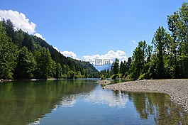 auwaldsee,森林,湖