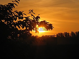 日落,天空,木材