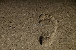 砂,占地面積,海灘