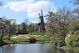 公園,不來梅市民,水